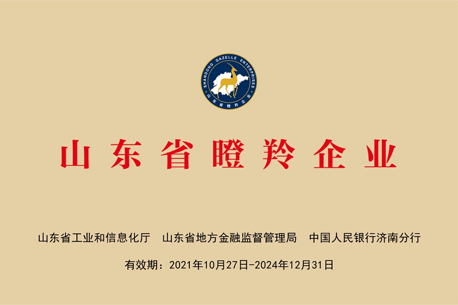 国网中电公司：山东省瞪羚企业
